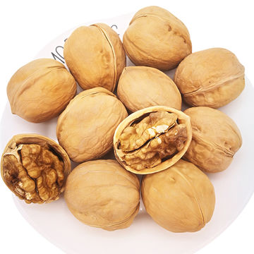 Chinese Walnuts – Fresh Whole Akhrot | Nuttylicious Pakistan